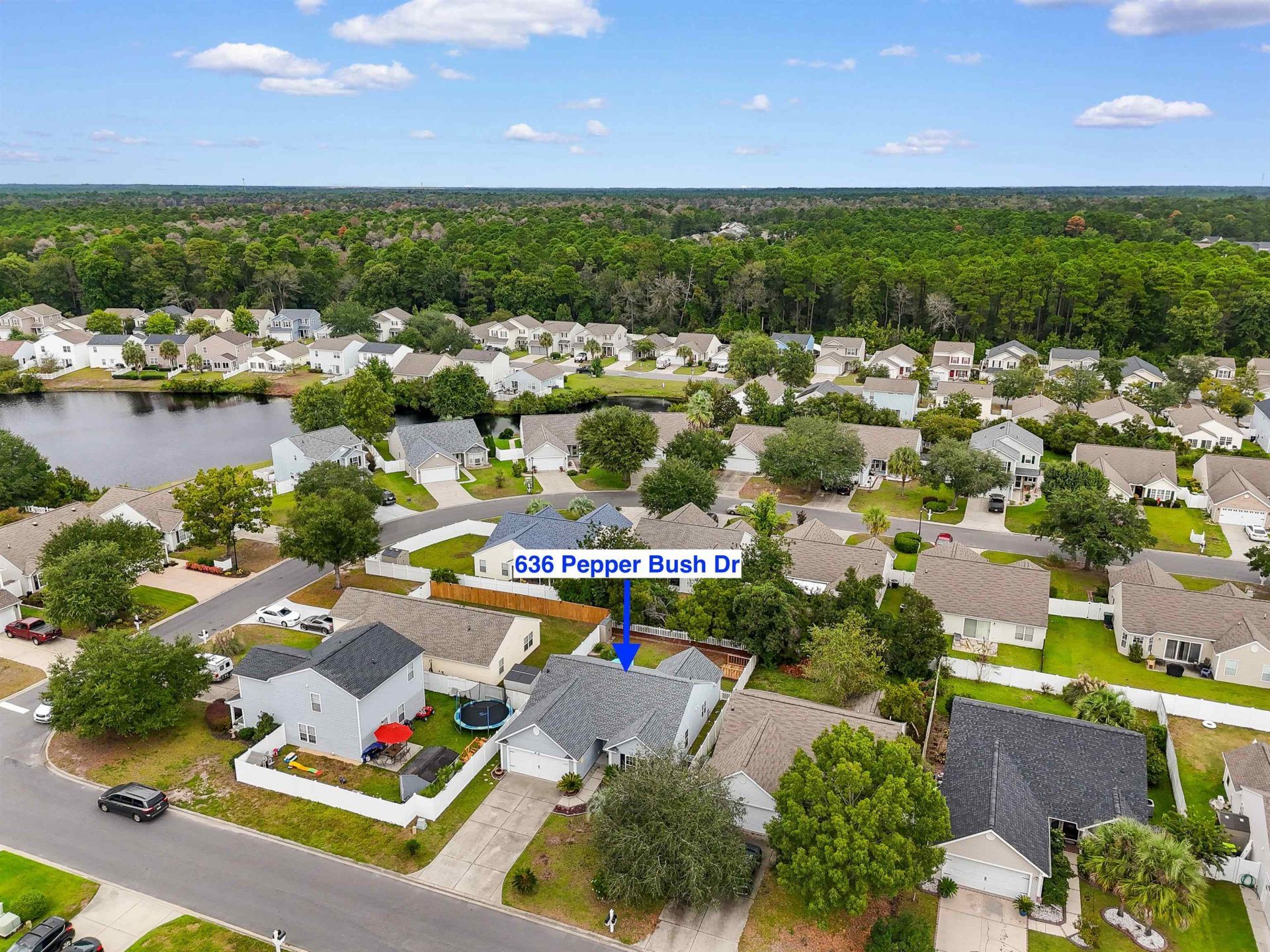 636 Pepperbush Dr. Photo 33