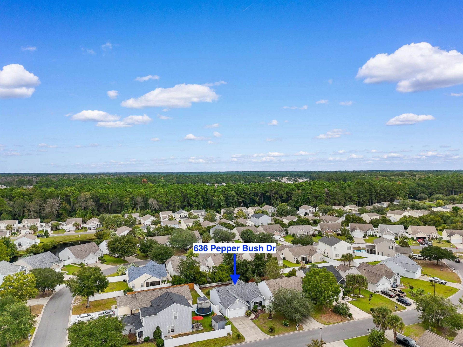 636 Pepperbush Dr. Photo 34