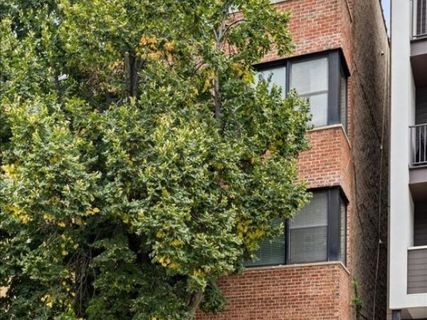 Unit 3, Chicago, IL 60622