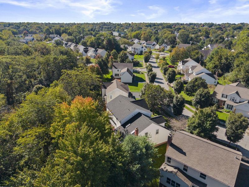 452 Sunridge Drive, Powell, OH 43065 Photo 63