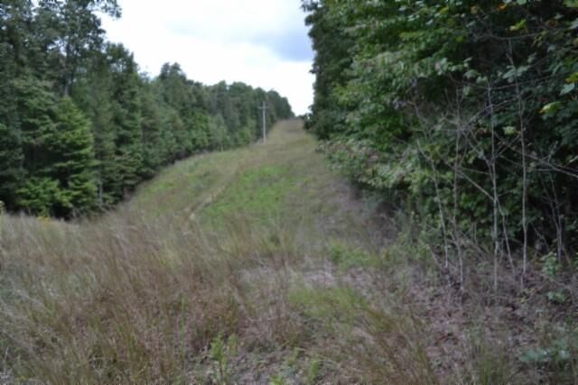 25.80ac Zizka Drive (east Glade Creek Rd), Sparta, TN 38543 Main Photo