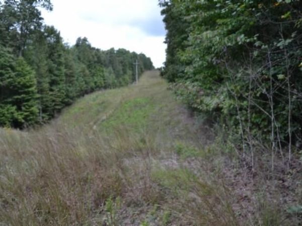 25.80ac Zizka Drive (East Glade Creek Rd), Sparta, TN 38543