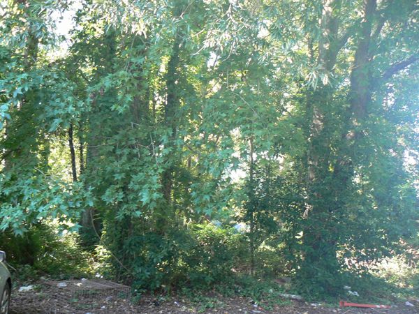 1405 Shavis Ct. , Myrtle Beach, SC 29577