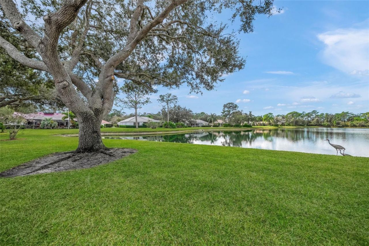 9075 Misty Creek Drive, Sarasota, FL 34241 Photo