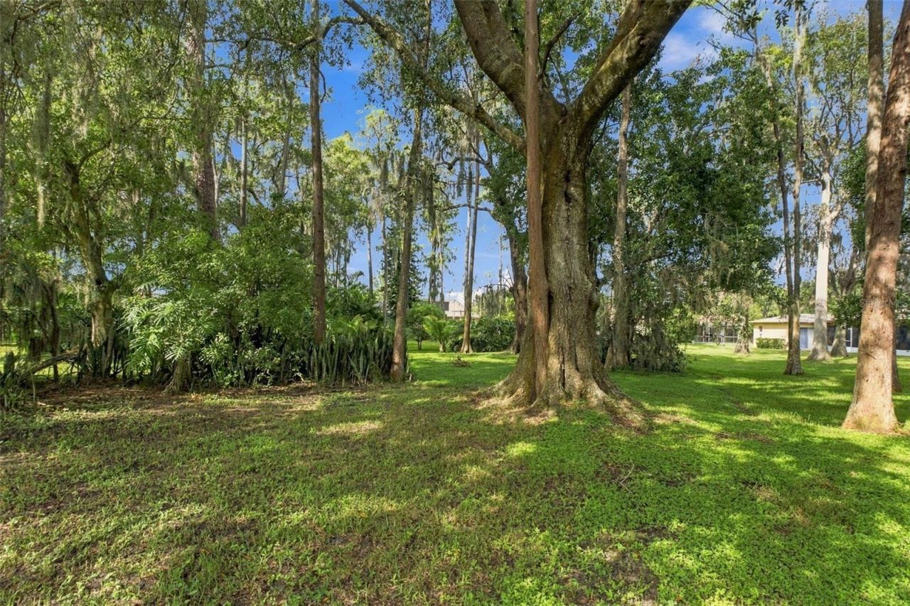 3300 Player Drive , New Port Richey, FL 34655 Photo