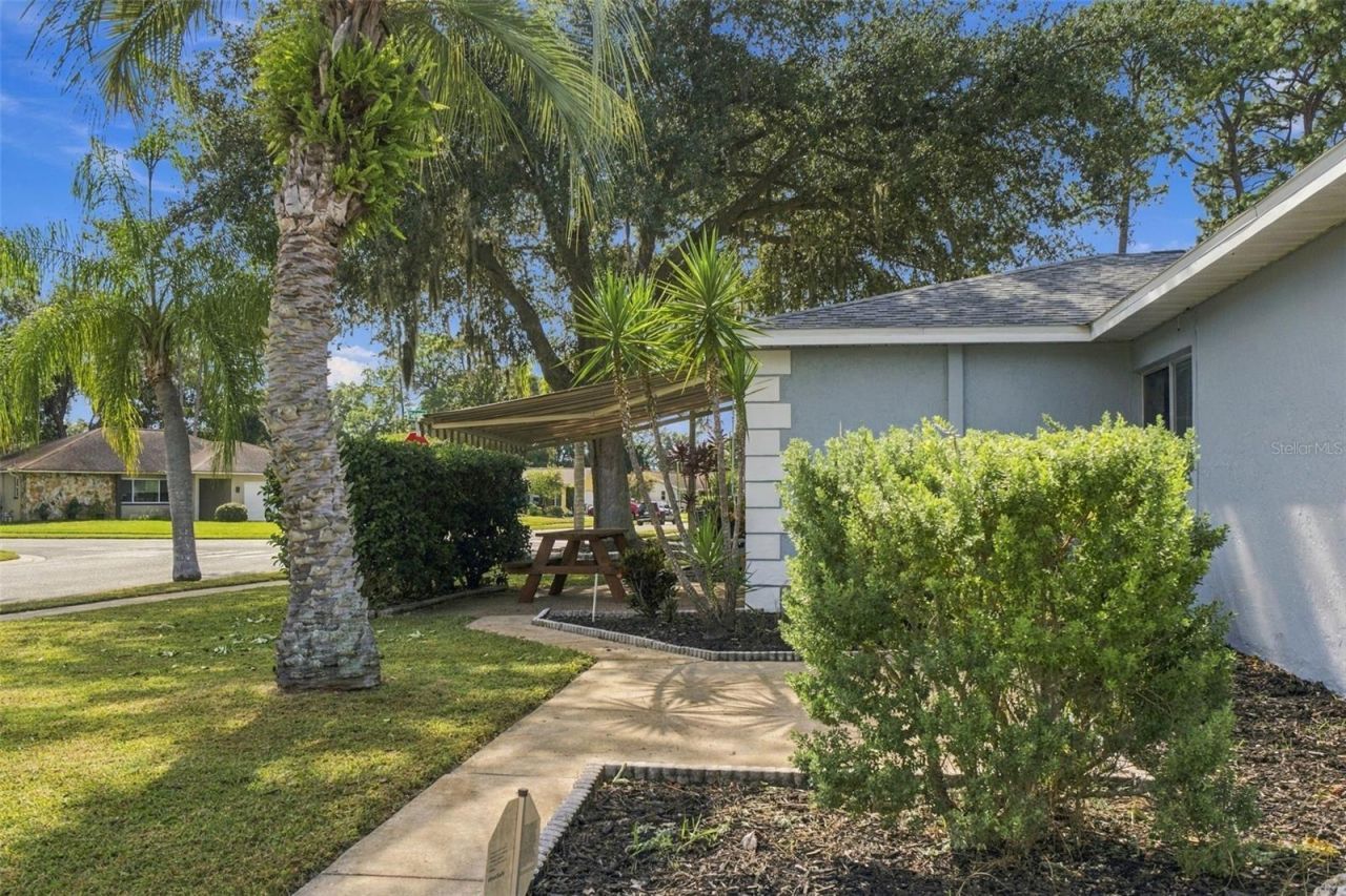 3300 Player Drive , New Port Richey, FL 34655 Photo