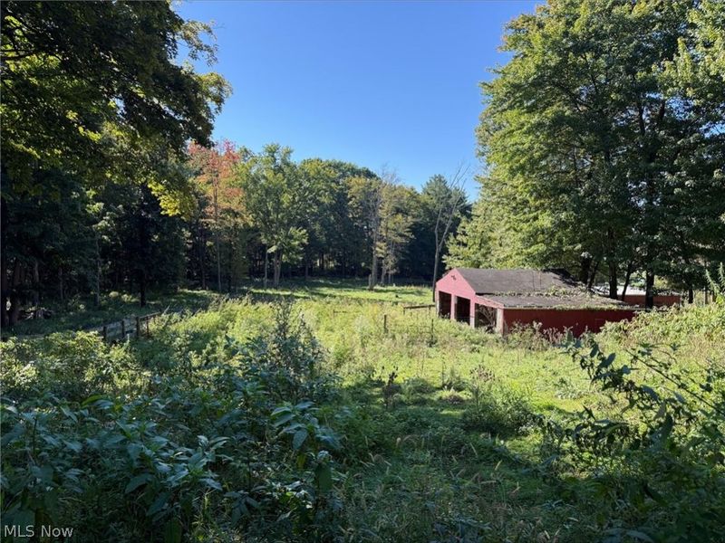 33533 Teegarden Road, Lisbon, OH 44432 Photo 8