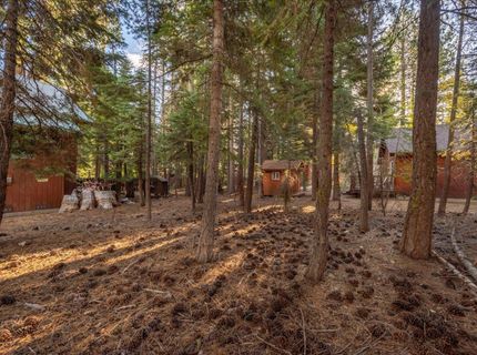 417 Deer Avenue, Tahoma, CA 96142 Photo