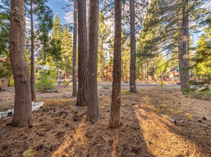 417 Deer Avenue, Tahoma, CA 96142 Photo