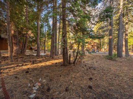 417 Deer Avenue, Tahoma, CA 96142 Photo