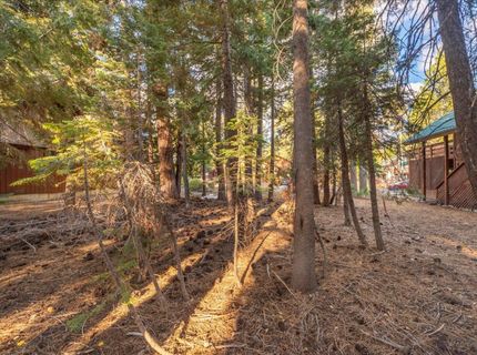 417 Deer Avenue, Tahoma, CA 96142 Photo