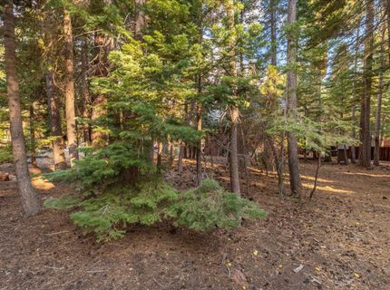 417 Deer Avenue, Tahoma, CA 96142 Photo