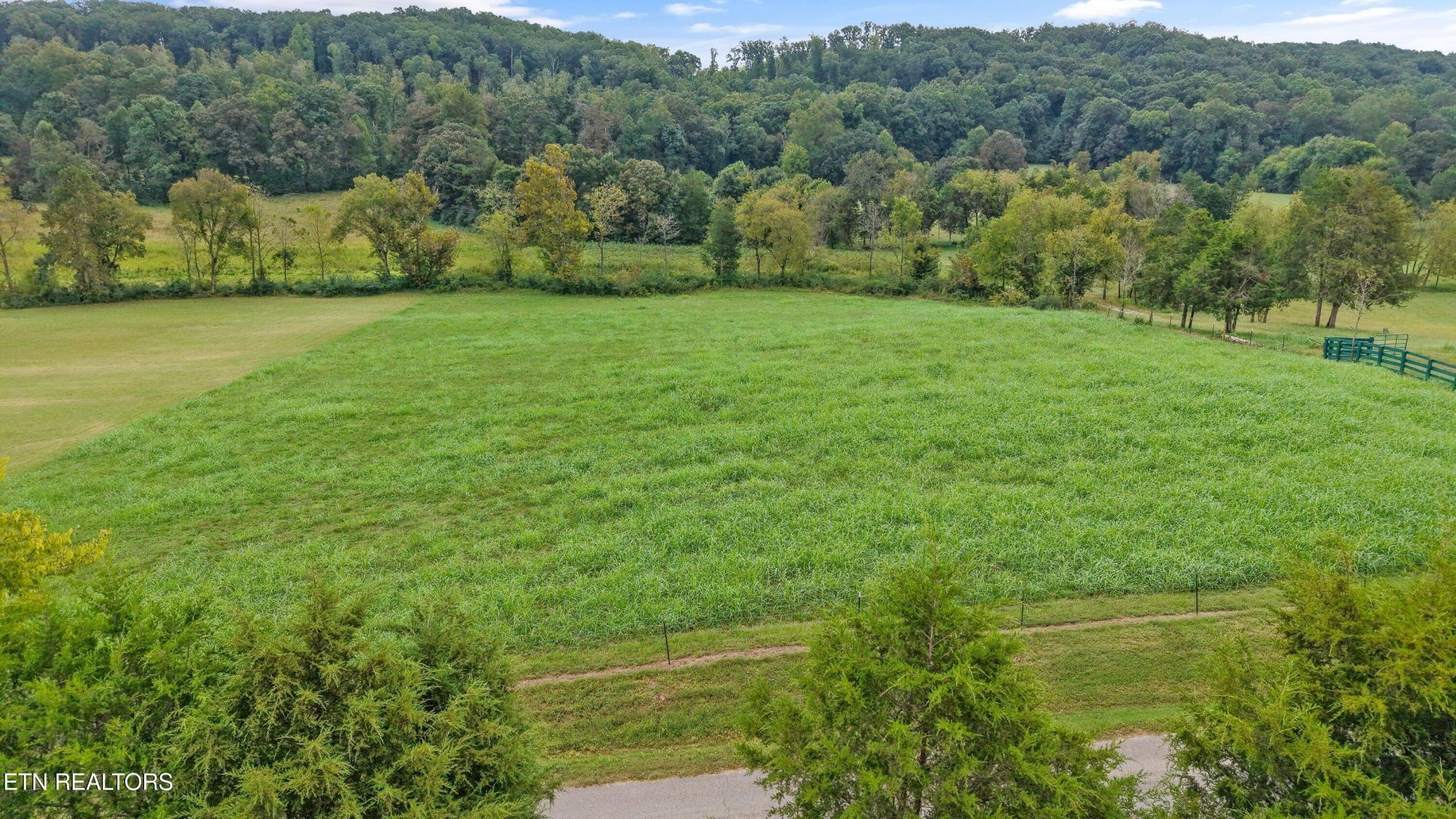 1361 Paint Rock Valley Rd, Philadelphia, TN 37846 Main Photo