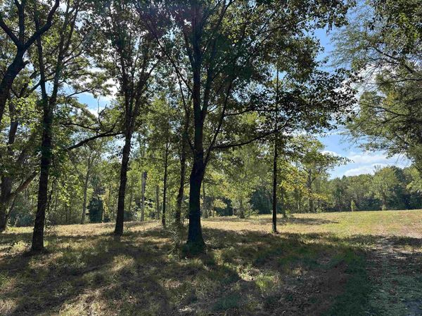 260 MILL RD, Unincorporated, TN 38060