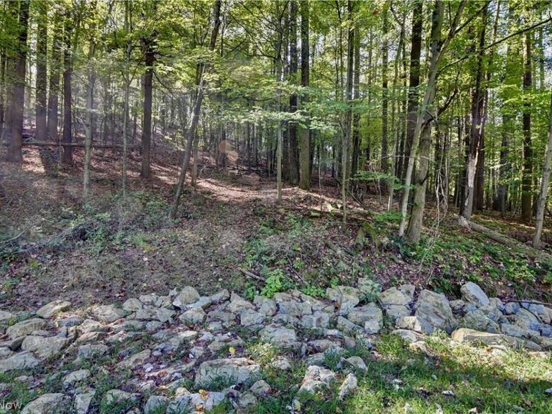 8097 Ore Hill Road SW, Stone Creek, OH 43840 Photo 15