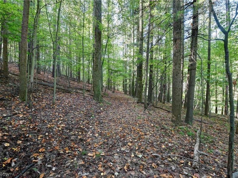 8097 Ore Hill Road SW, Stone Creek, OH 43840 Photo 16