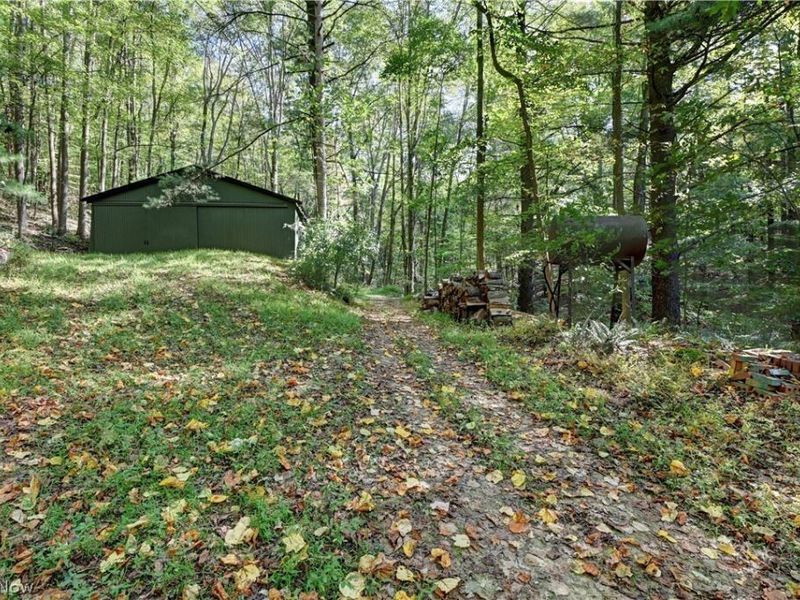 8097 Ore Hill Road SW, Stone Creek, OH 43840 Photo 18