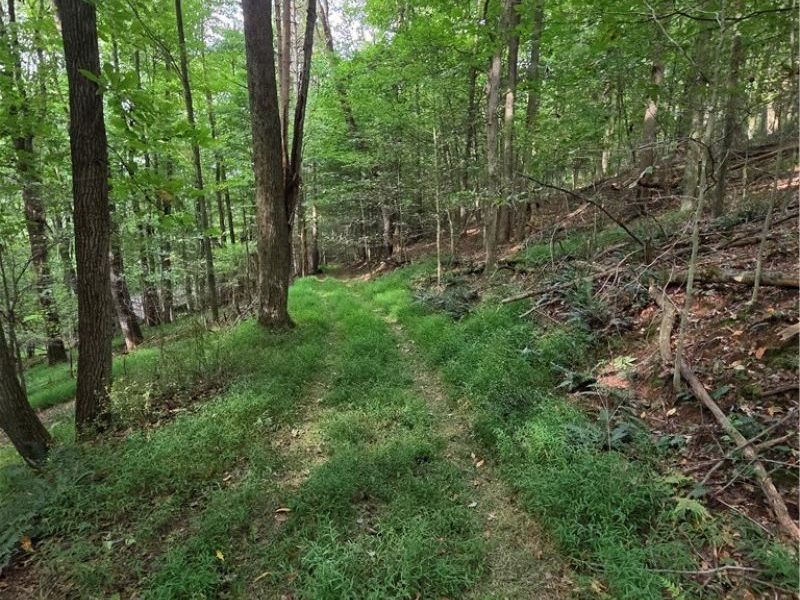 8097 Ore Hill Road SW, Stone Creek, OH 43840 Photo 30