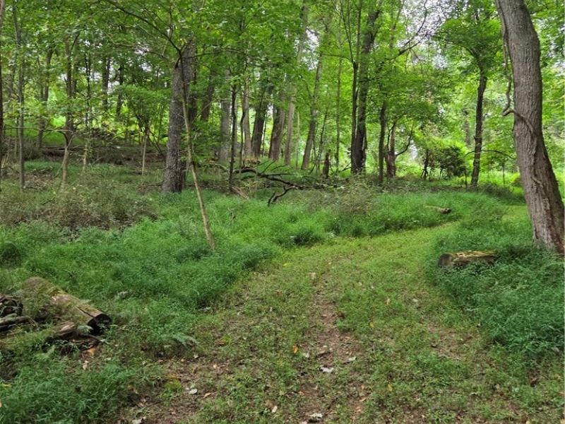 8097 Ore Hill Road SW, Stone Creek, OH 43840 Photo 32