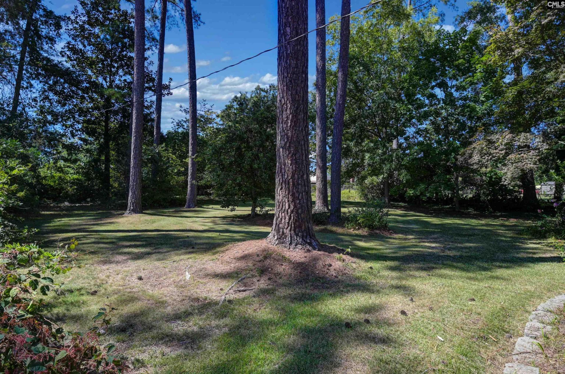 249 Morningside Drive  Photo 47