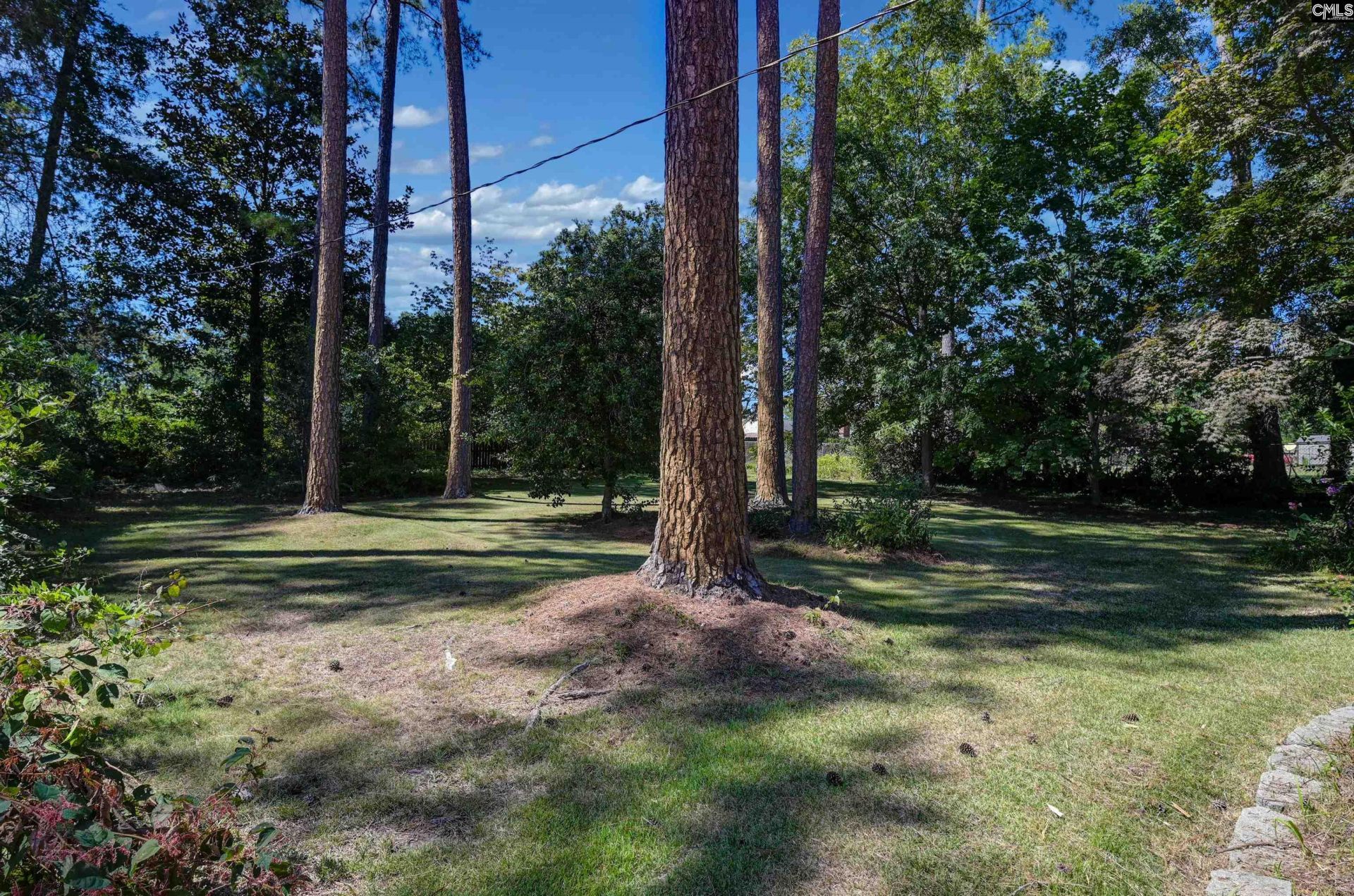 249 Morningside Drive  Photo 48