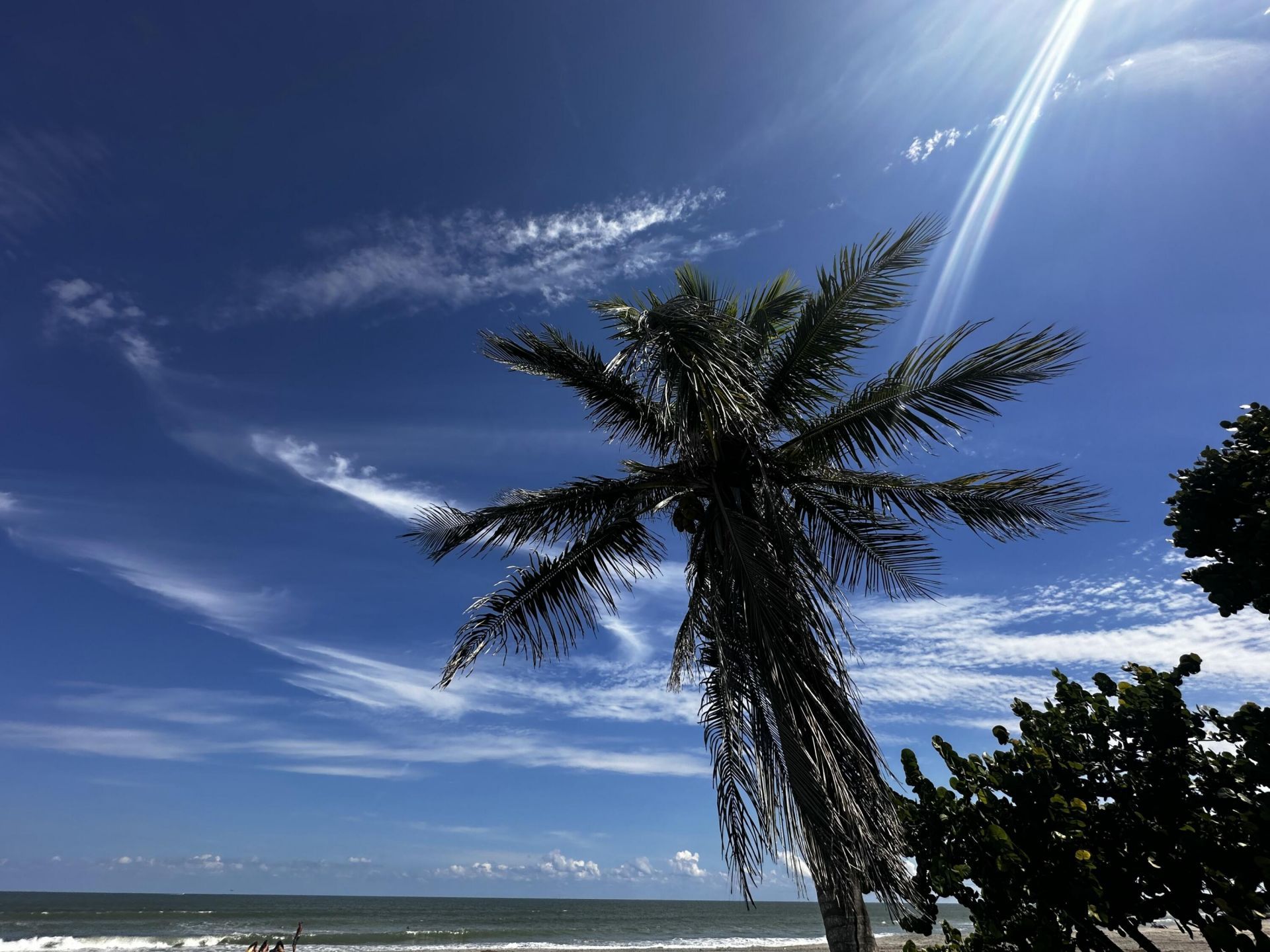 275 Palm Avenue, Unit A404, Jupiter, FL 33477 Photo