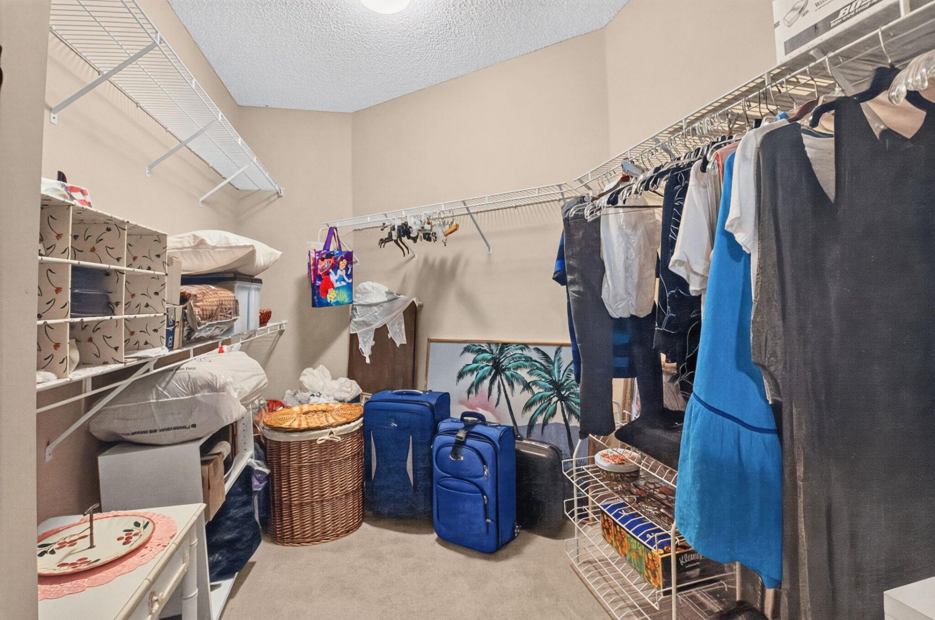 6079 Caladium Road, Delray Beach, FL 33484 Photo