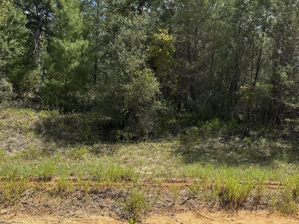 00 GLORIA AVE, Interlachen, FL 32148