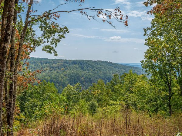 0 Split Rail Way, Guild, TN 37340