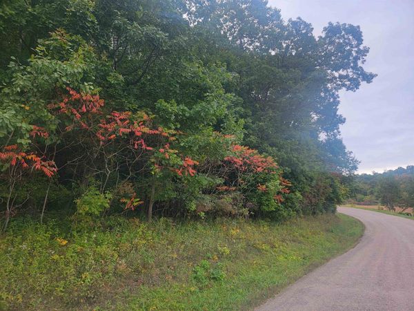 0000 German Valley Road, Hillsboro, WI 54634