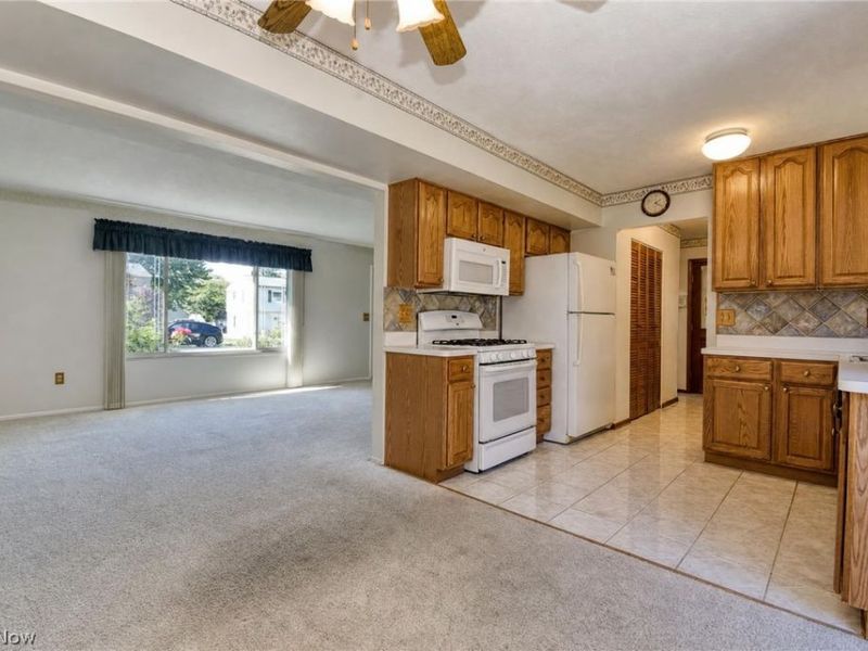 509 Monroe Boulevard, Painesville, OH 44077 Photo 13