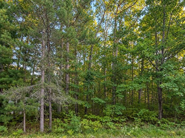 V/L .63AC Indian Wood Drive, Roscommon, MI 48656