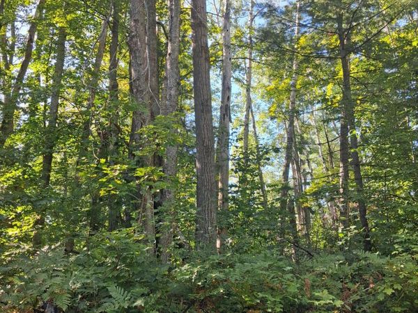 V/L .52AC Cree Trail, Gaylord, MI 49735