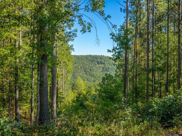 0 Split Rail Way, Guild, TN 37340