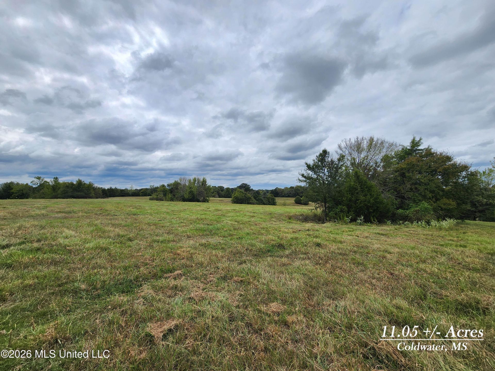 11.05 Bub Jamison Road, Coldwater, MS 38618 Main Photo