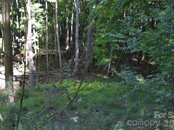 1410 N Double Knob Loop , Arden, NC 28704