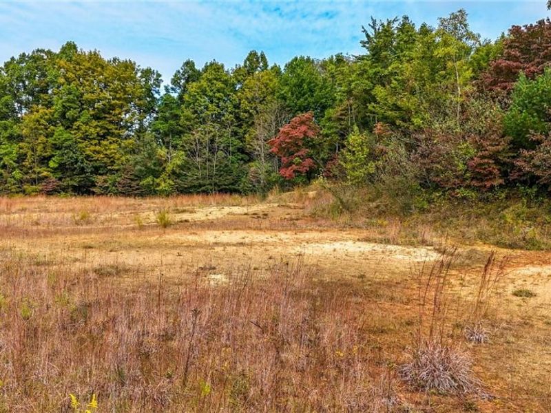 0 Buckeye Ridge Rd Road, Chesterhill, OH 43787 Photo 11