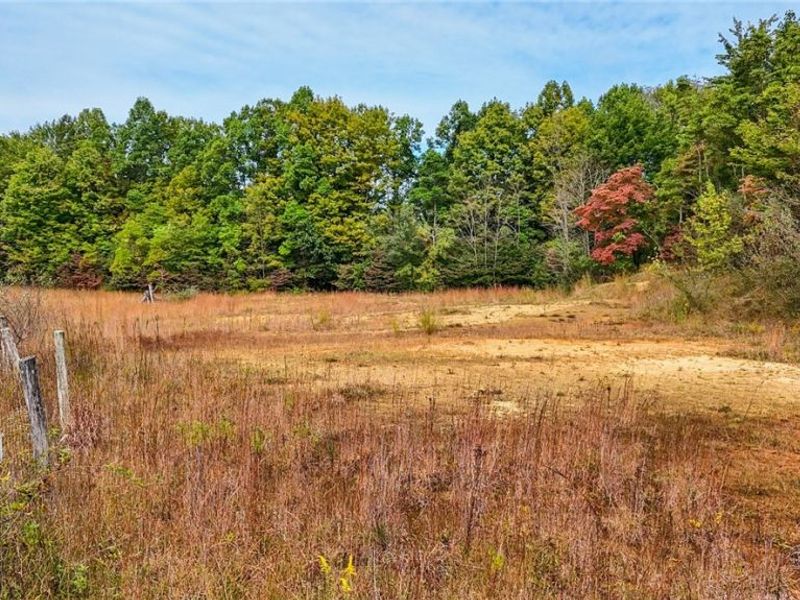 0 Buckeye Ridge Rd Road, Chesterhill, OH 43787 Photo 12
