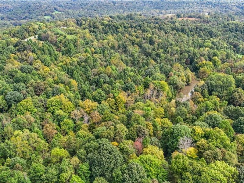 0 Buckeye Ridge Rd Road, Chesterhill, OH 43787 Photo 19