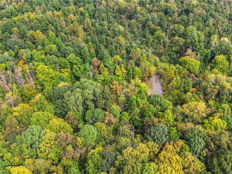 0 Buckeye Ridge Rd Road, Chesterhill, OH 43787 Photo 21