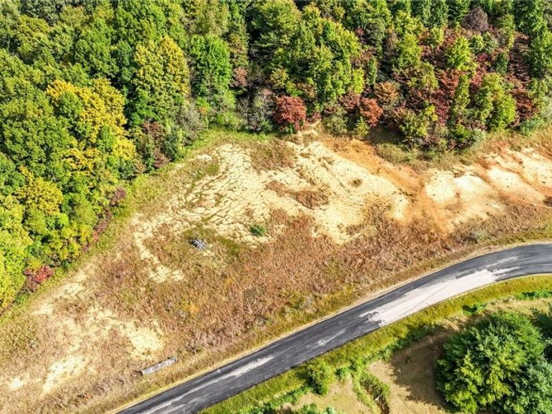0 Buckeye Ridge Rd Road, Chesterhill, OH 43787 Photo 3