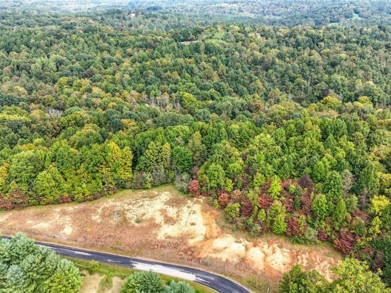 0 Buckeye Ridge Rd Road, Chesterhill, OH 43787 Photo 6