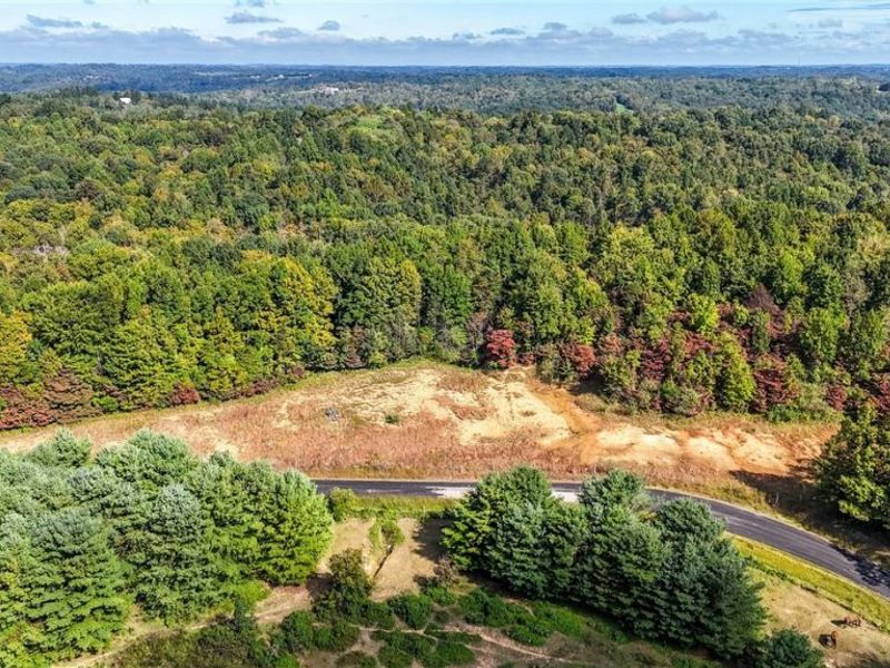 0 Buckeye Ridge Rd Road, Chesterhill, OH 43787 Photo 9