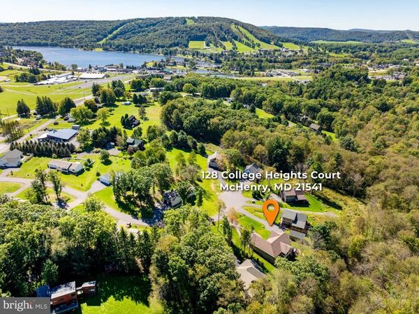 128 COLLEGE HEIGHTS COURT, MC HENRY, MD 21541