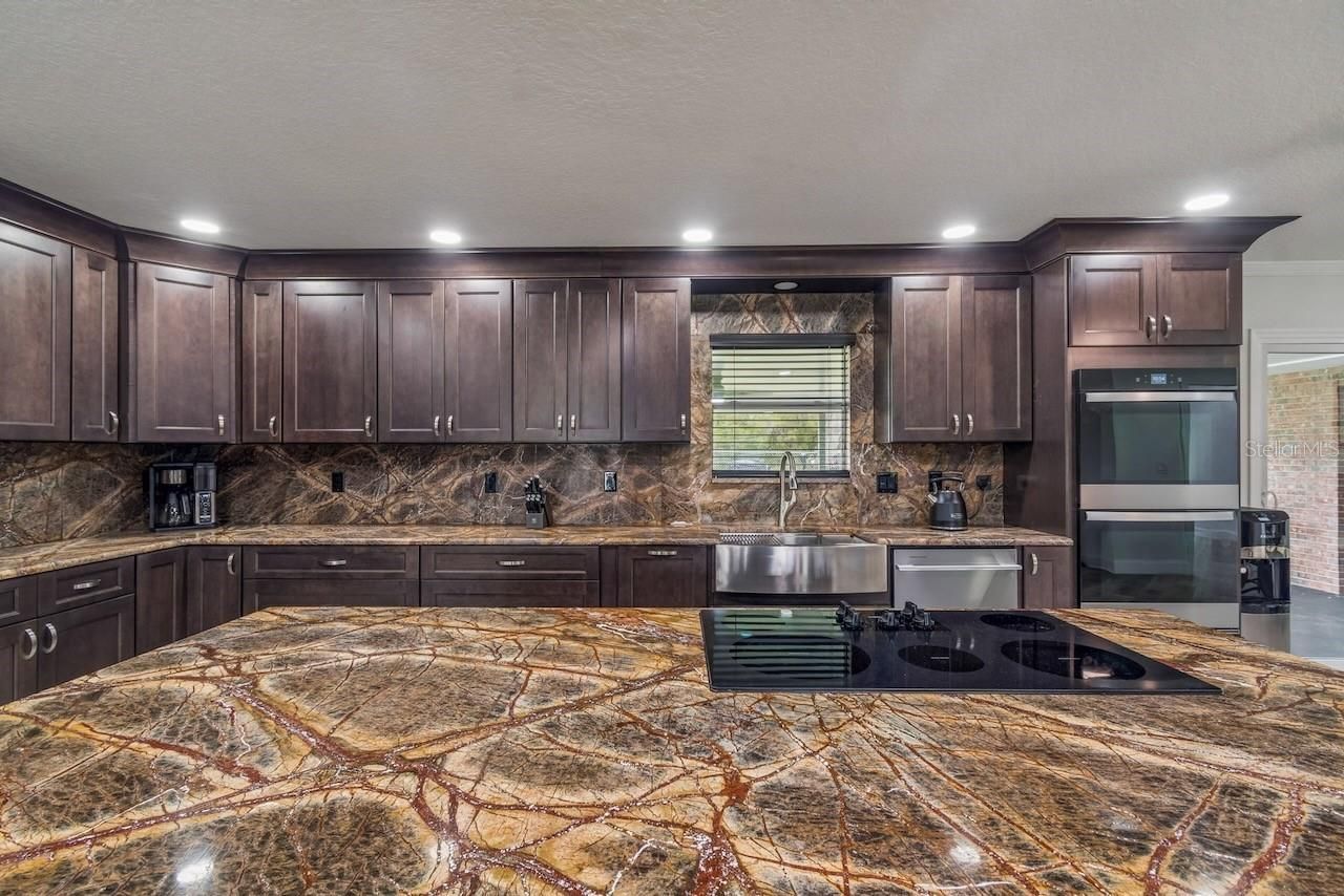 16218 Fringe Tree Drive , Spring Hill, FL 34610 Photo