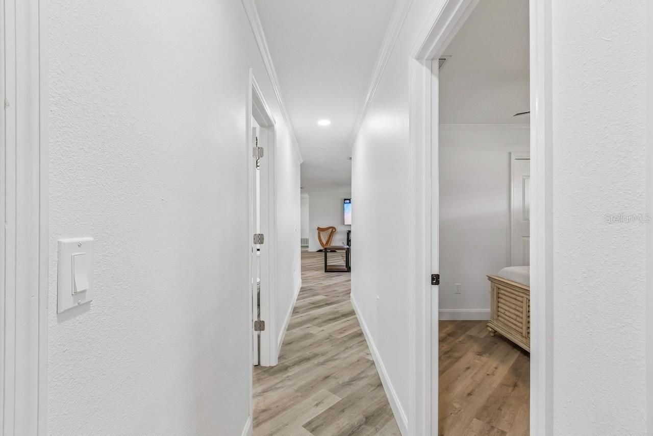 16218 Fringe Tree Drive , Spring Hill, FL 34610 Photo