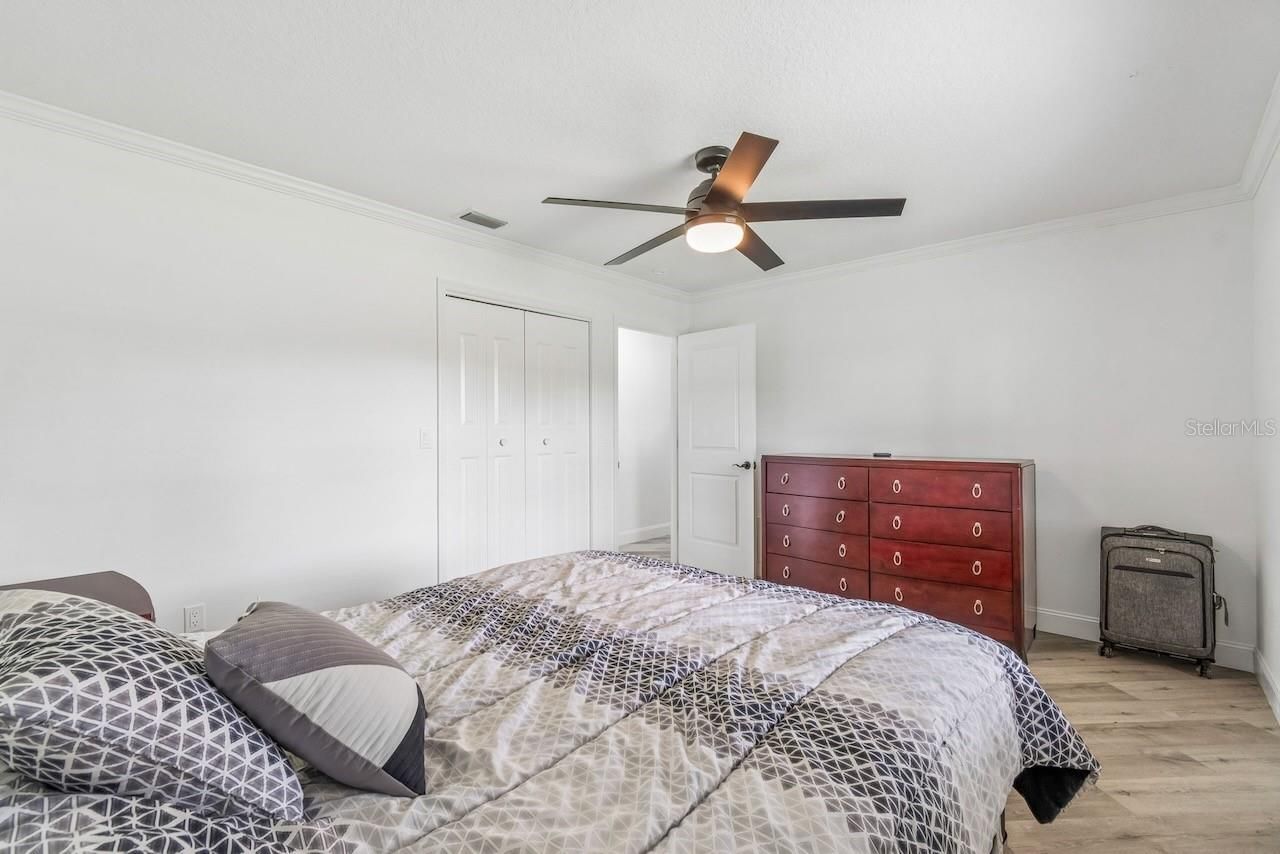 16218 Fringe Tree Drive , Spring Hill, FL 34610 Photo