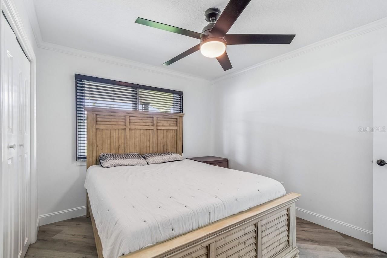 16218 Fringe Tree Drive , Spring Hill, FL 34610 Photo