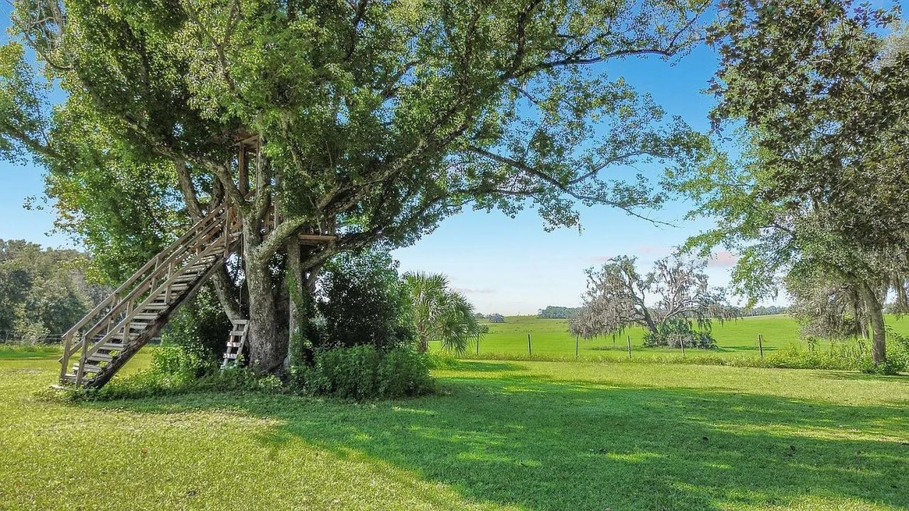 3622 E Whirlwind, Floral City, FL 34436 Photo
