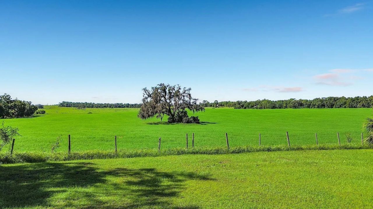 3622 E Whirlwind, Floral City, FL 34436 Photo